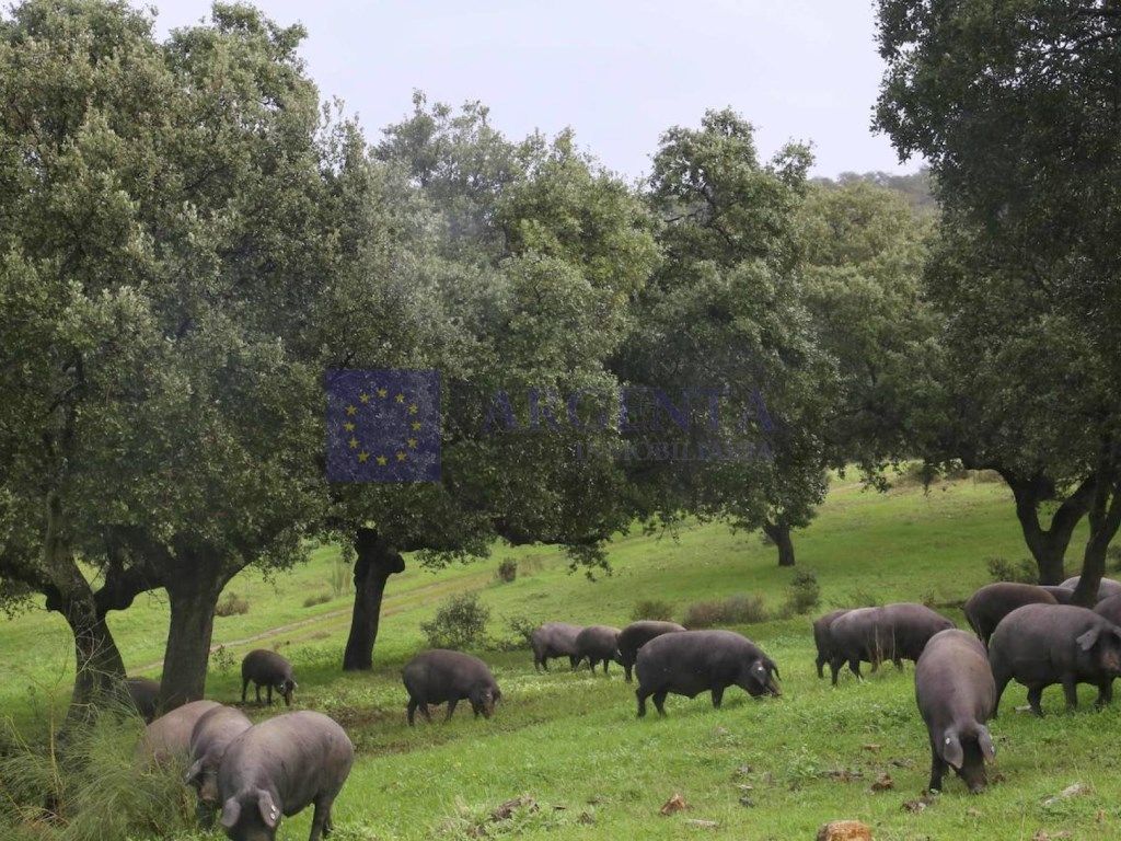 Casa o xalet en venda a N/A, Jaraicejo