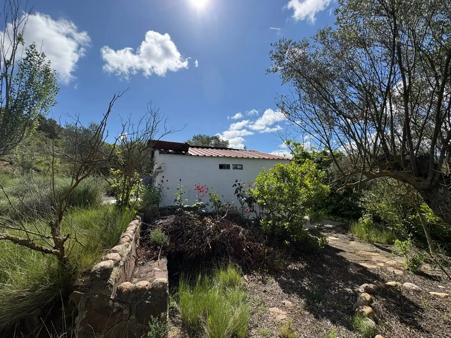 Land for sale in Cenicero