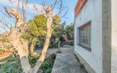 Jardí de Casa o xalet en venda en La Bisbal del Penedès amb Jardí privat i Piscina
