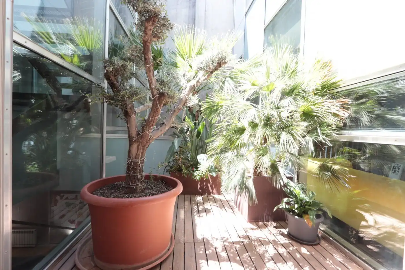Terraza de Casa o chalet en venta en Cartagena con Aire acondicionado, Terraza y Piscina