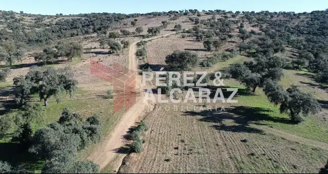 Terreny rústic en venda a Fuente Obejuna, imagen 4