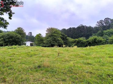 Terreno rustico in vendita a Polígono VILLABAÑEZ-CARMEN