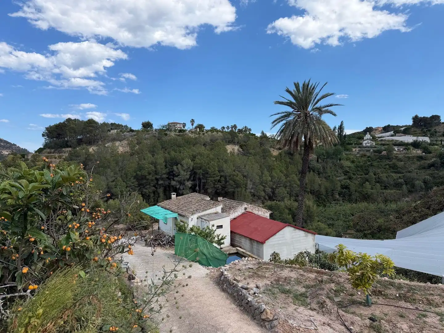 Vista exterior de Finca rústica en venta en Polop