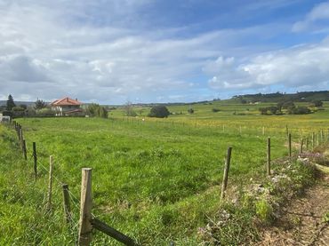 Terreno rústico en venta en Terrenos arnuero
