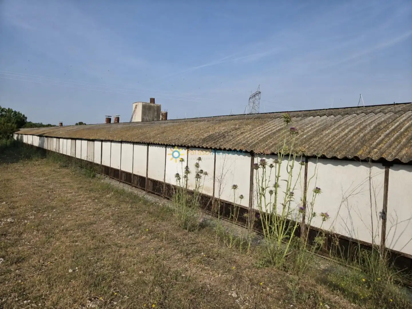 Rural land for sale in Benigànim, imagen 8
