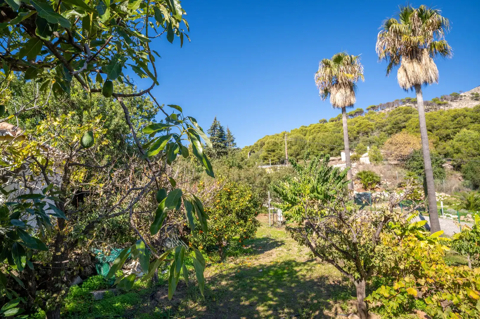 Jardí de Casa o xalet en venda en Mijas amb Terrassa