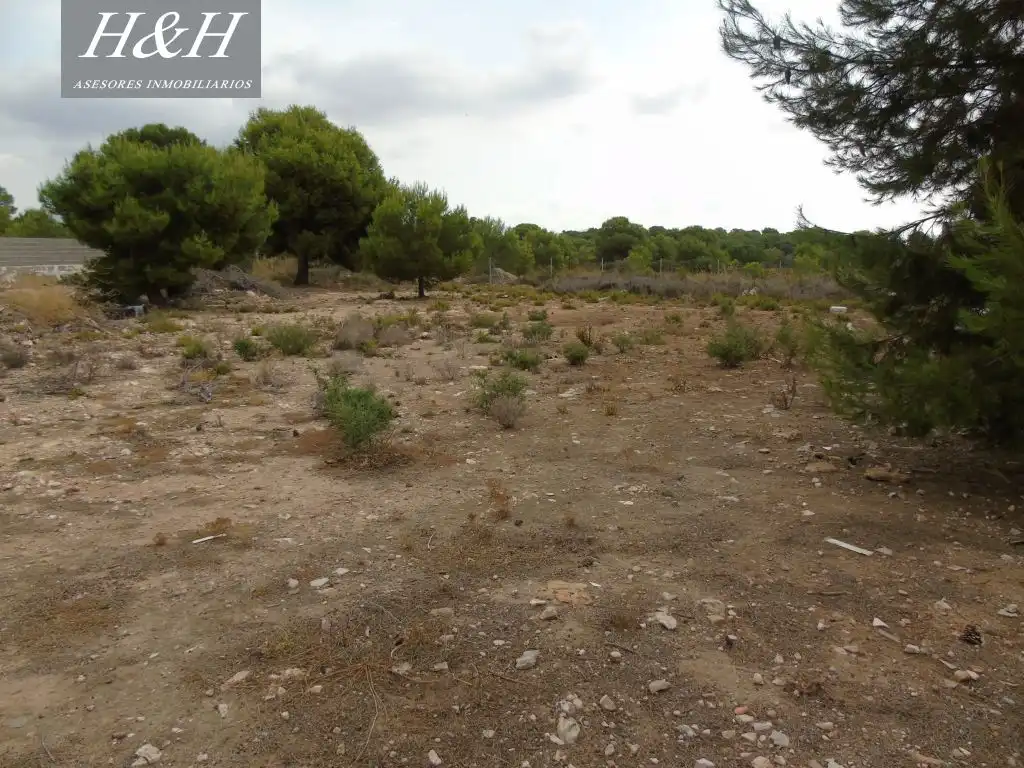 Terreno residenziale in vendita a Camí de Paterna - Lloma del Calderer, imagen 5