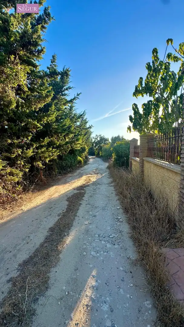 Casa rústica con piscina en venta en Pelagatos - Pago del Humo, imagen 28