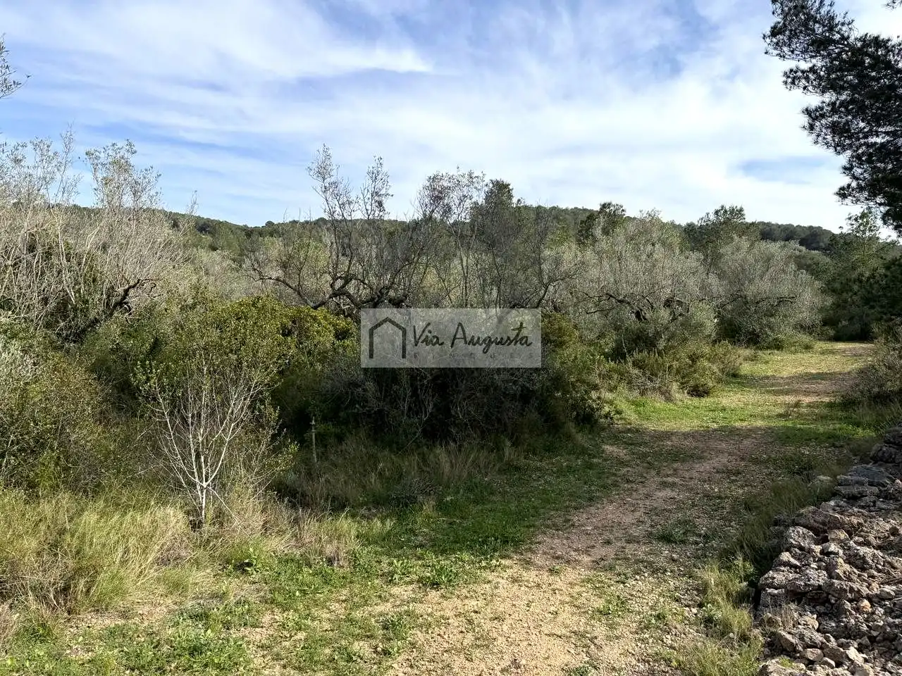 Terreno rustico in vendita a oliveres