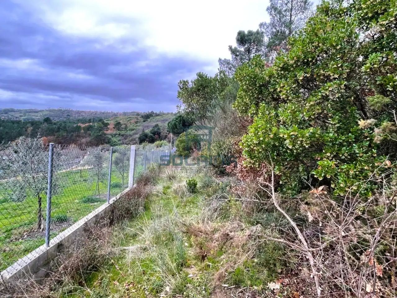 Terreni e lotti in vendita a O Pereiro de Aguiar, imagen 5