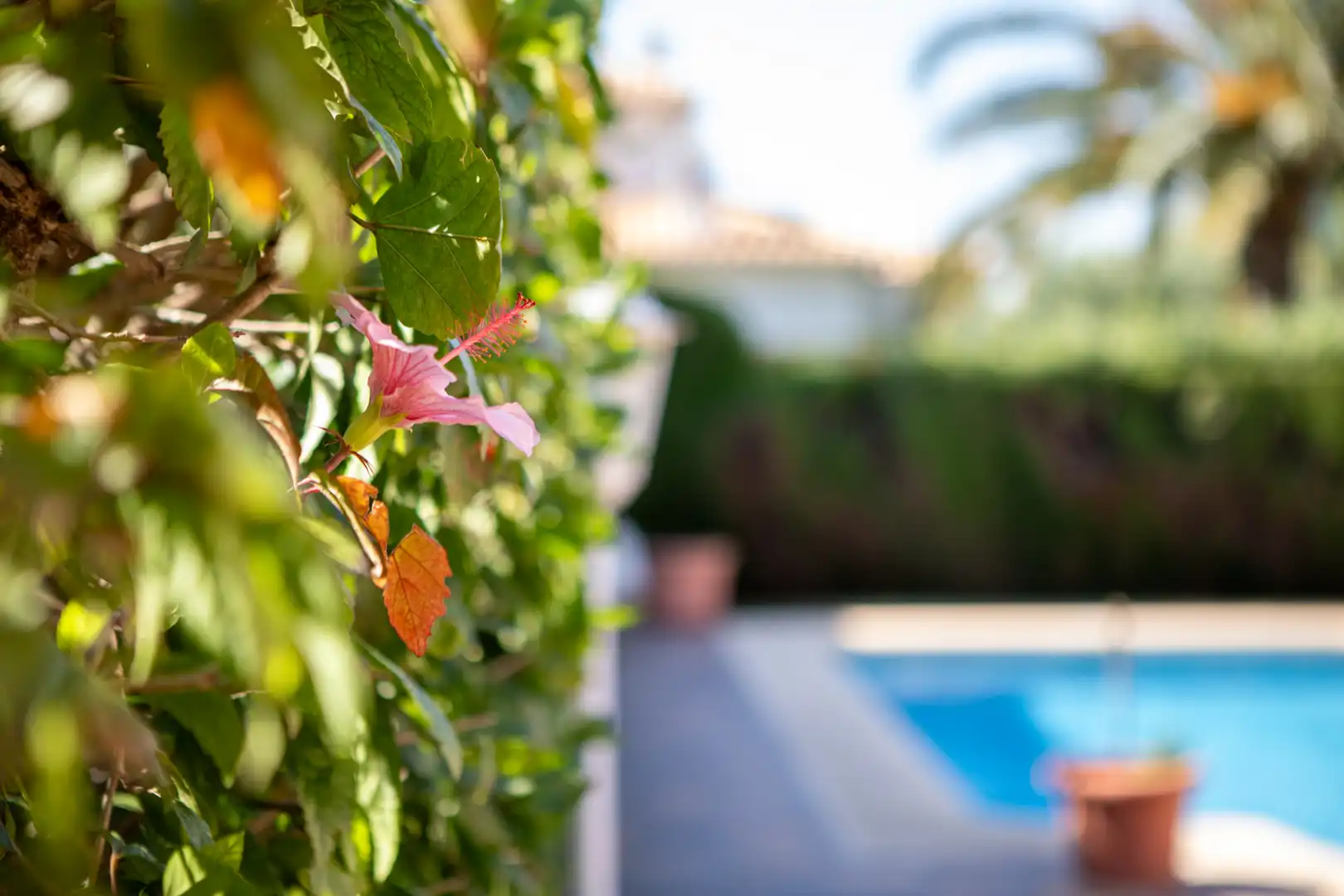 Piscina de Casa o chalet de alquiler en Dénia con Aire acondicionado, Calefacción y Jardín privado