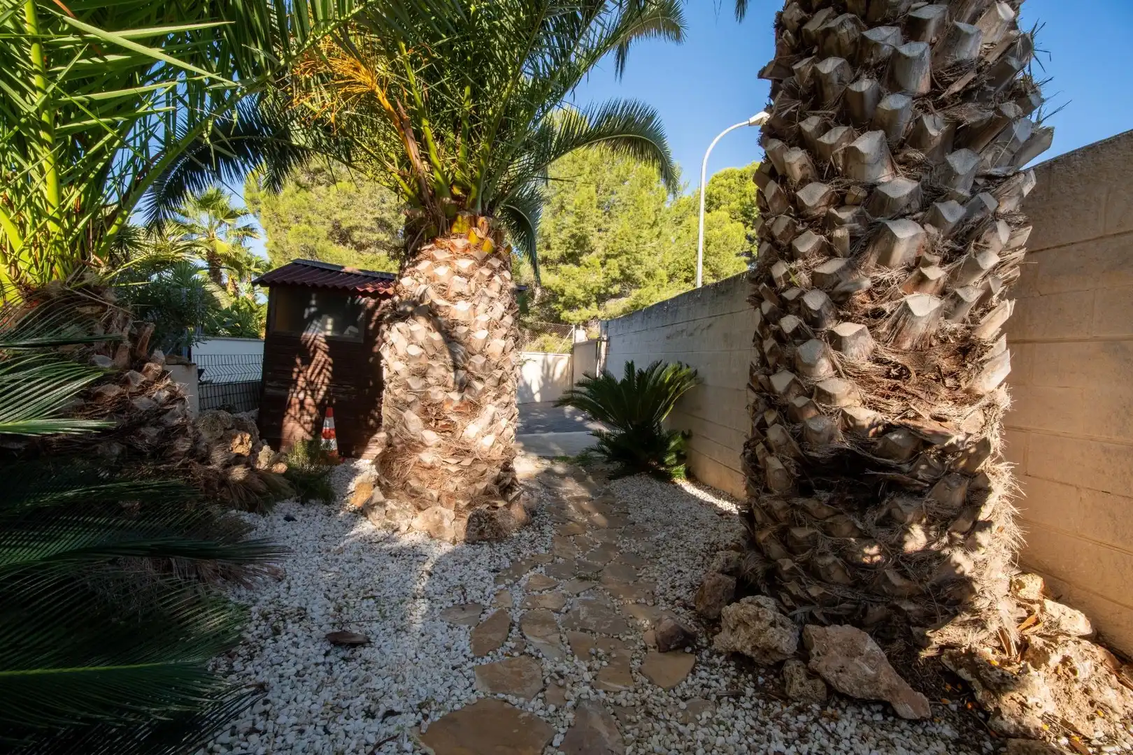 Jardí de Casa o xalet en venda en El Carme - Sant Agustí - Bonavista