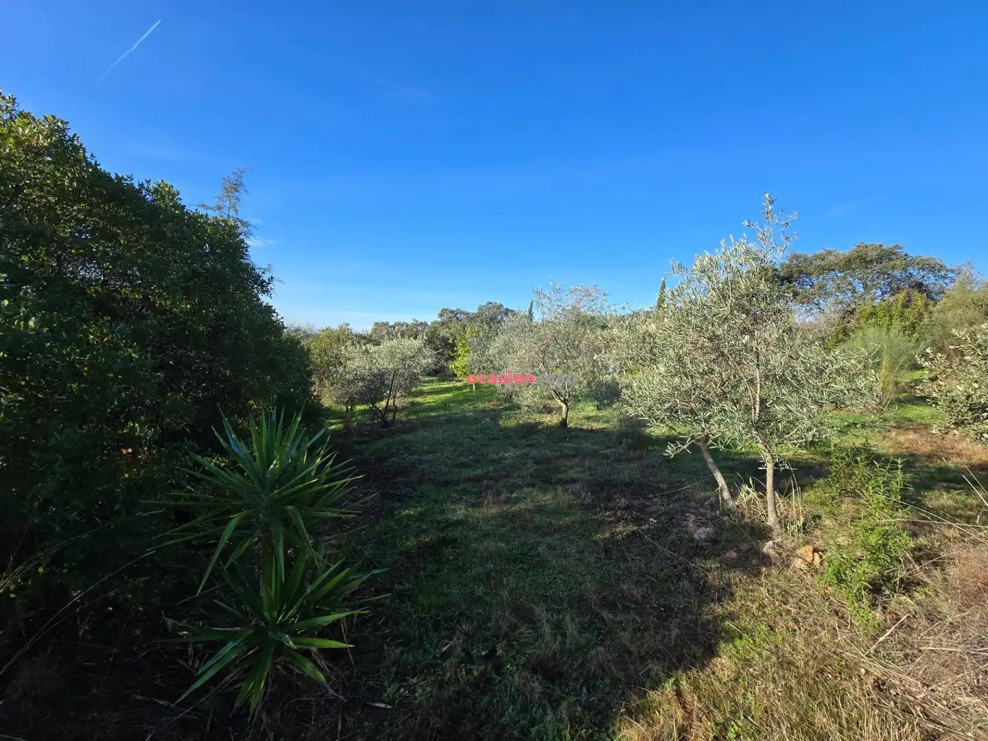 Casa o chalet en venta en Santa Eufemia