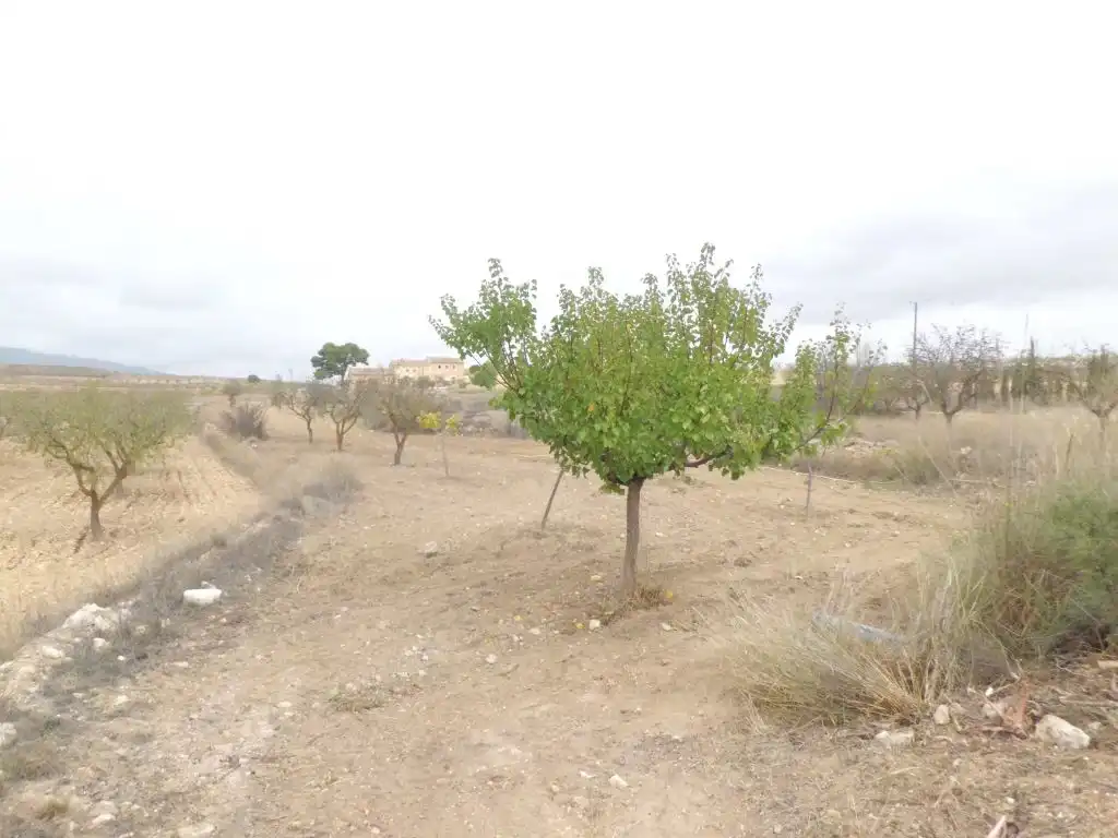 Casa con giardino in vendita a El Pinós / Pinoso, imagen 13