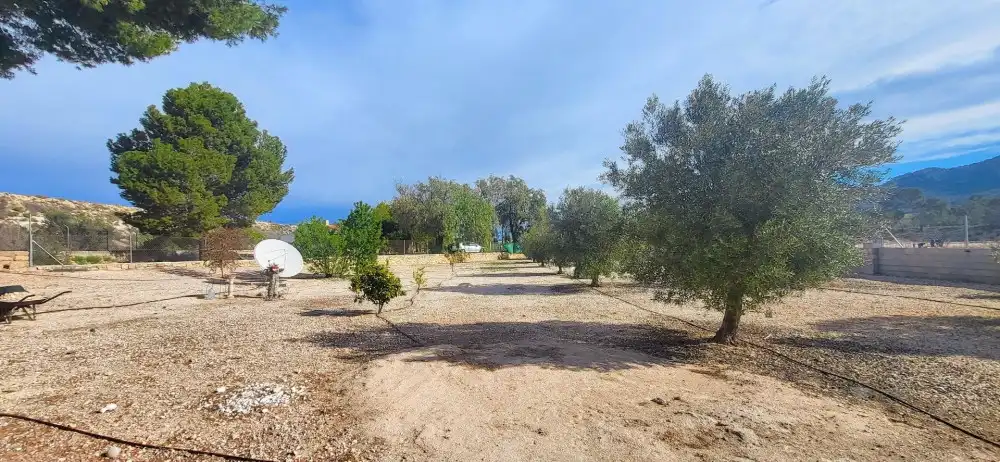 Casa o xalet en venda en Monóvar  / Monòver