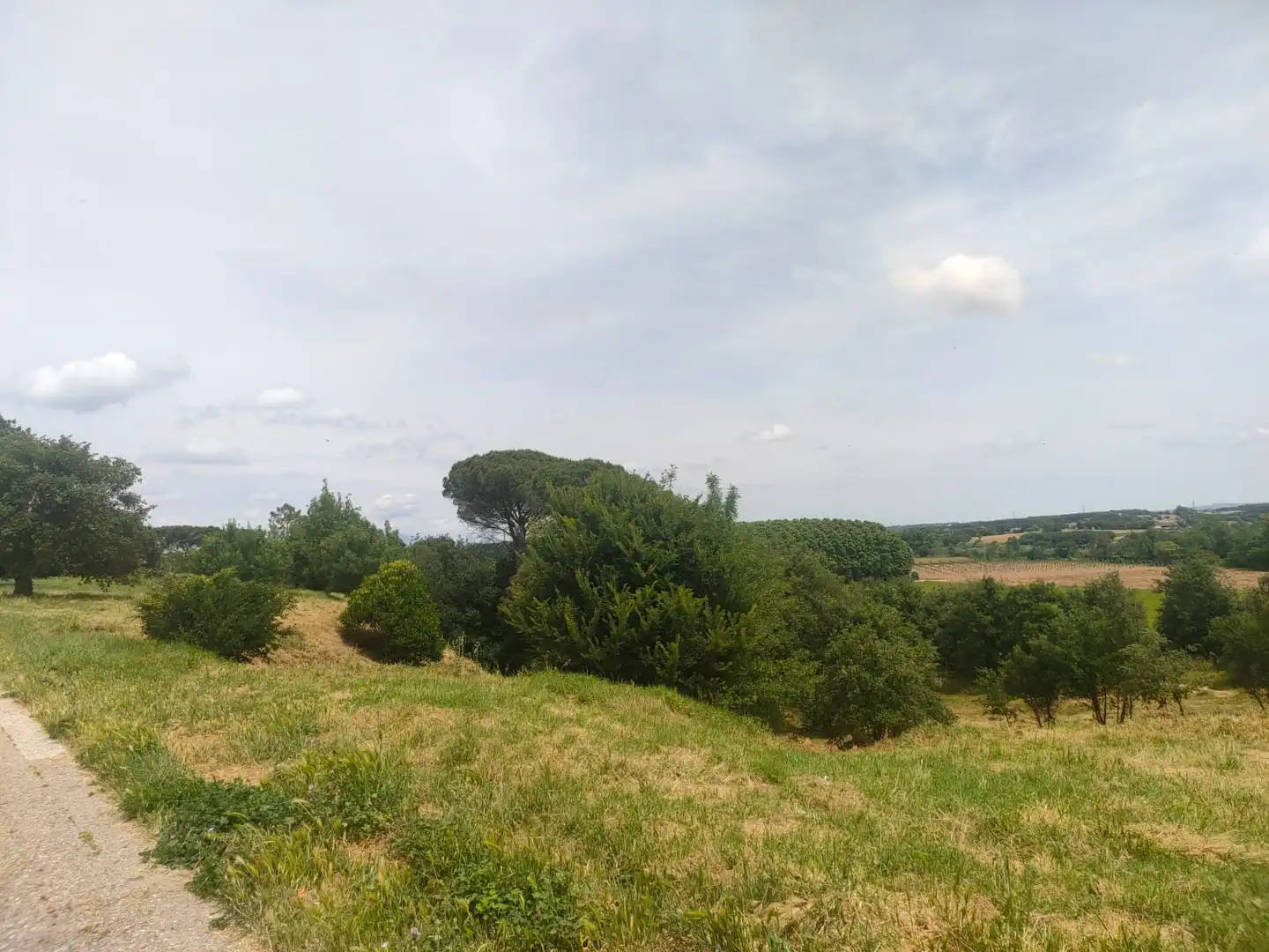 Residential land for sale in Avinguda Barceloneta, imagen 7
