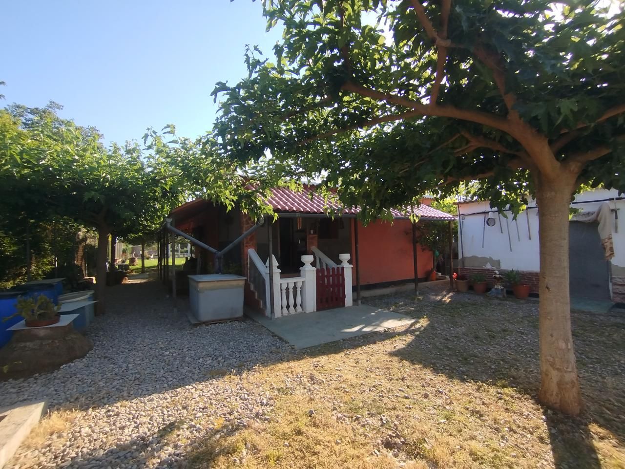 Garden of House or chalet for sale in Burriana / Borriana