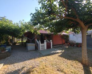 Garden of House or chalet for sale in Burriana / Borriana
