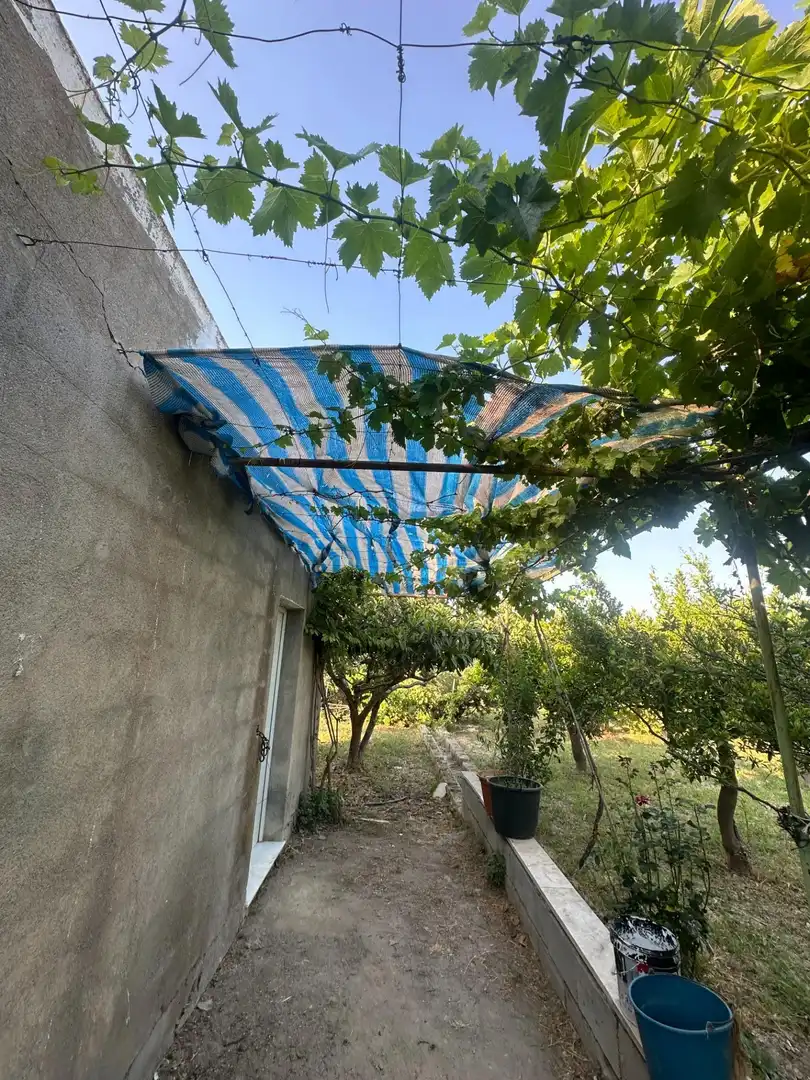 Jardín de Finca rústica en venta en Olula del Río