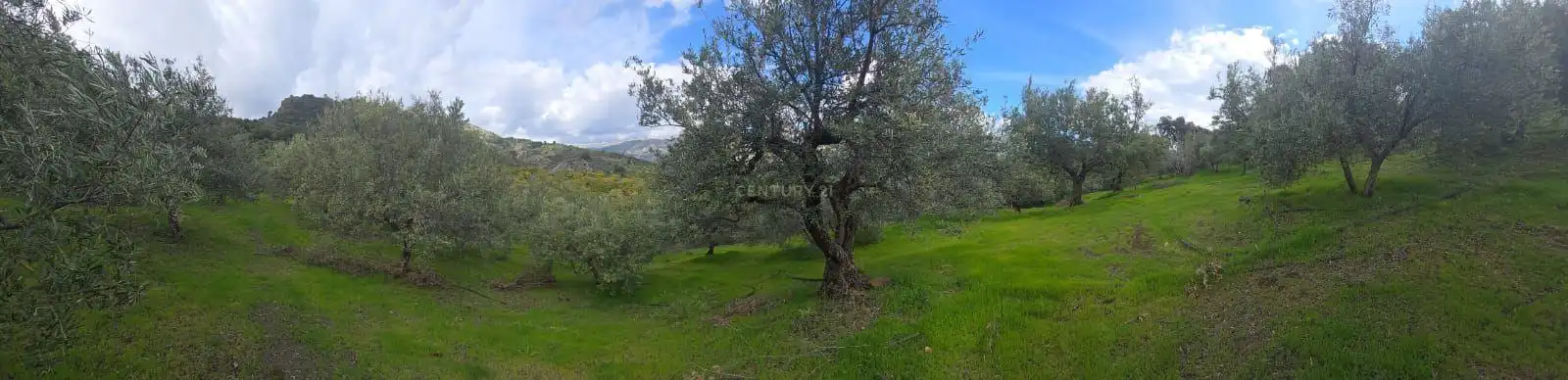 Terreno rustico in vendita a Polígono 11 Parcela 108 EL CERRILLAR. LOS GUAJARES (GRANADA), imagen 5