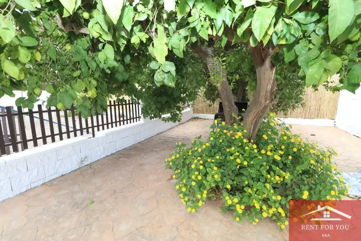 Casa con piscina en alquiler en Centro, imagen 11