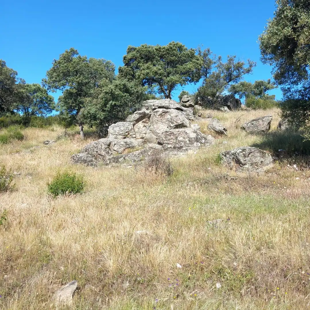 Terreni e lotti in vendita a El Álamo, imagen 7