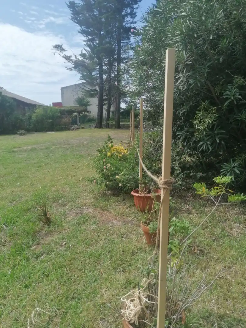Terreno residencial en venta en Lugar Insuela, imagen 4