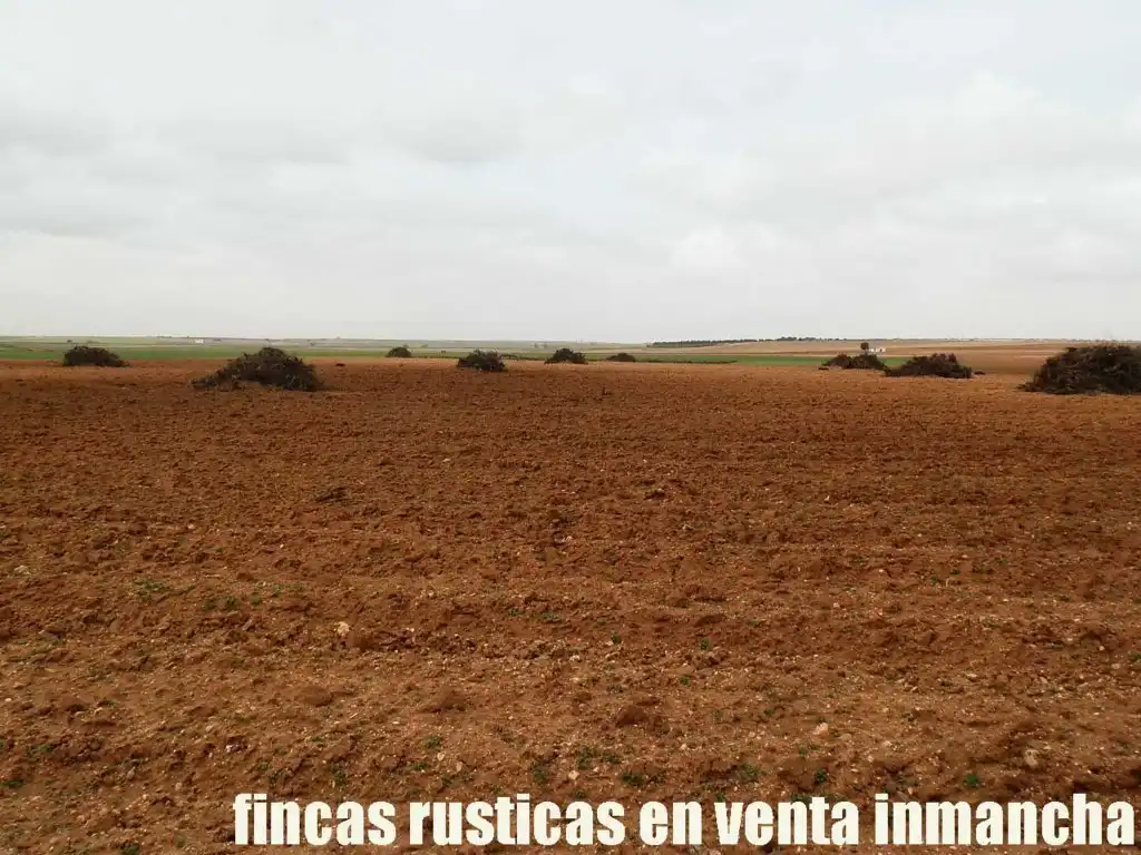 Terreno rustico in vendita a Alcázar de San Juan, imagen 17