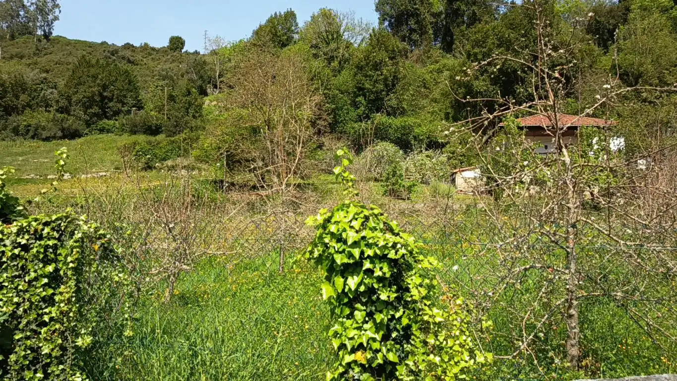 Residential land for sale in CD-1, imagen 8