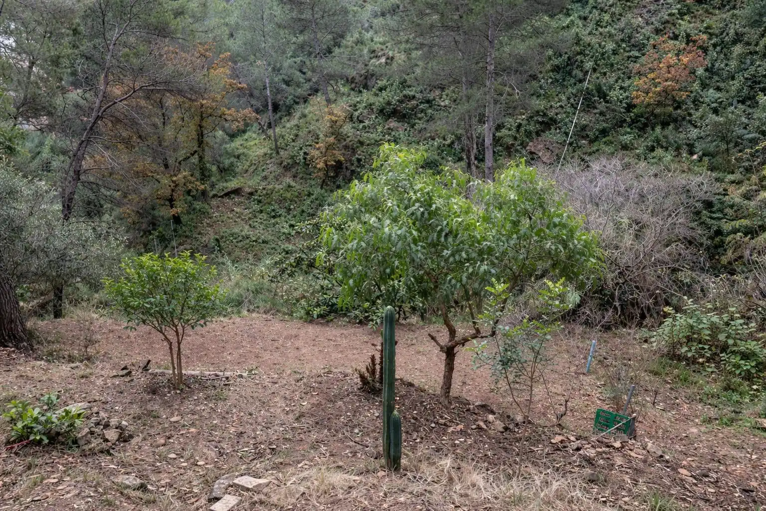 Casa o chalet en venta en Monistrol de Montserrat con Aire acondicionado, Jardín privado y Terraza