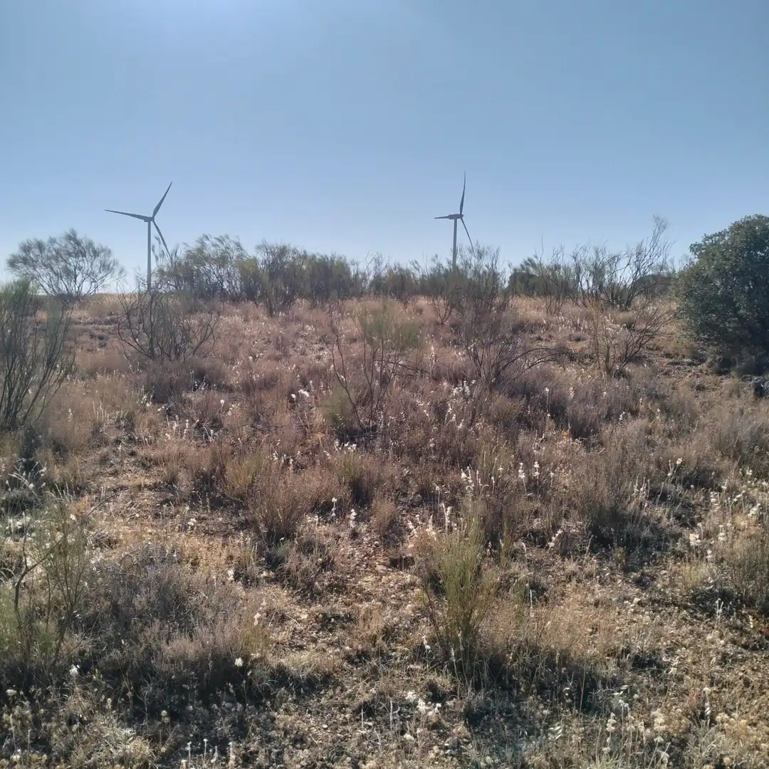 Terreno rustico in vendita a Munera, imagen 4