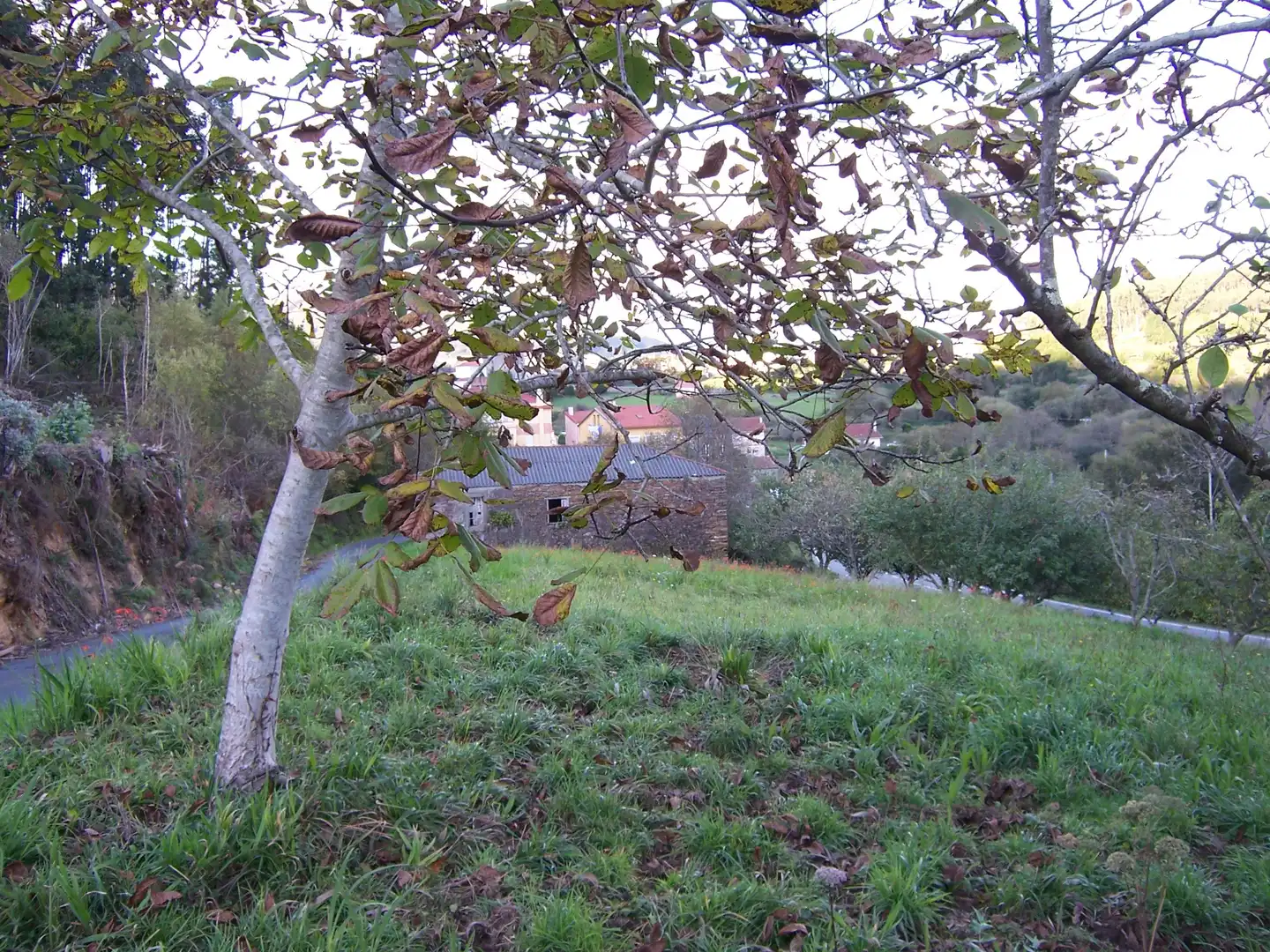 Casa amb jardí en venda a Lugar Ortigueira 2, imagen 2