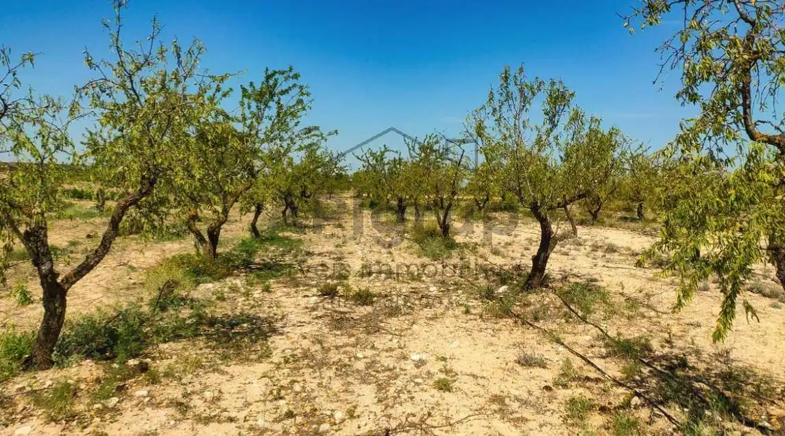 Terreni e lotti in vendita a Arbeca