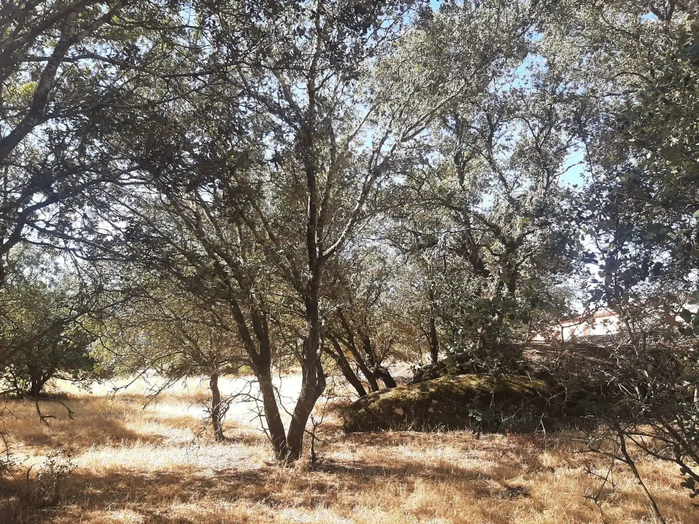 Terreni e lotti in vendita a Torreorgaz