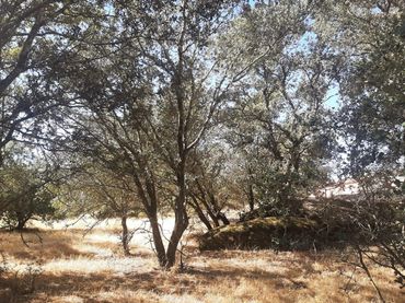 Rustikales Grundstück zum Verkauf in Torreorgaz