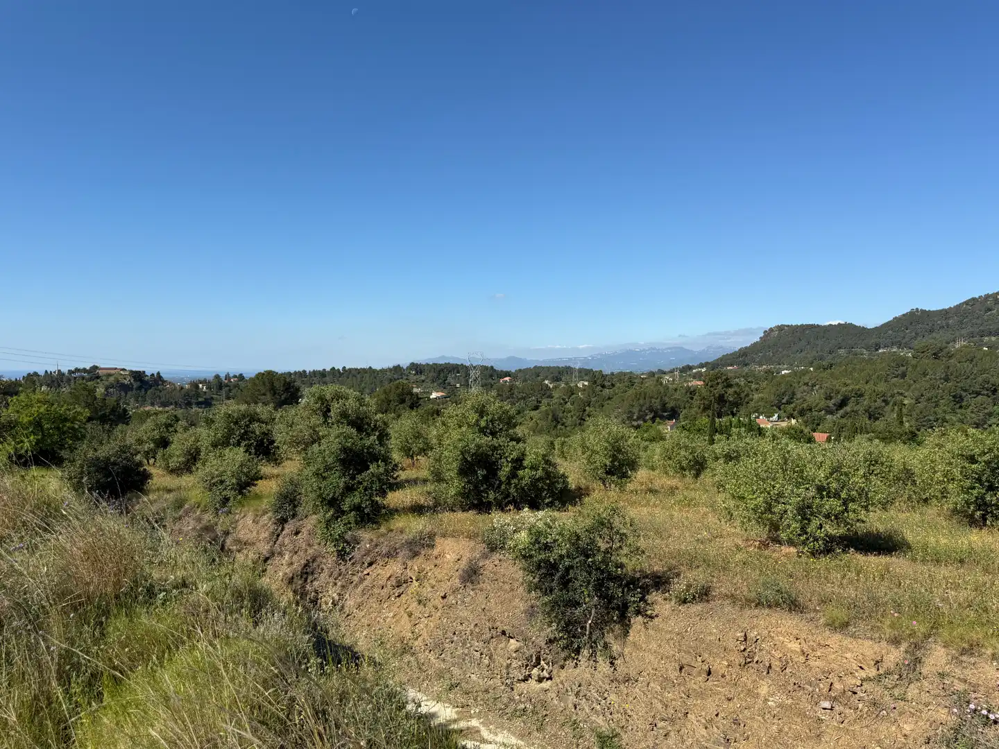Terreny residencial en venda a Carrer dels Roures 11, imagen 5