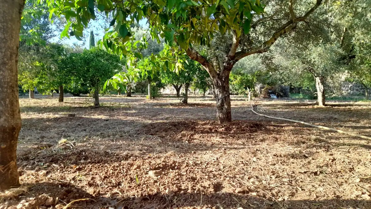 Casa adosada en venta en Sóller