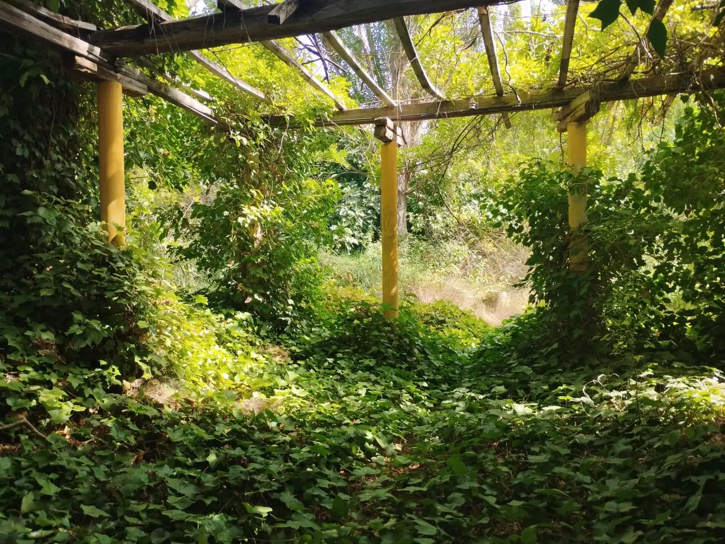 Jardín de Finca rústica en venta en Morata de Jiloca, Zaragoza