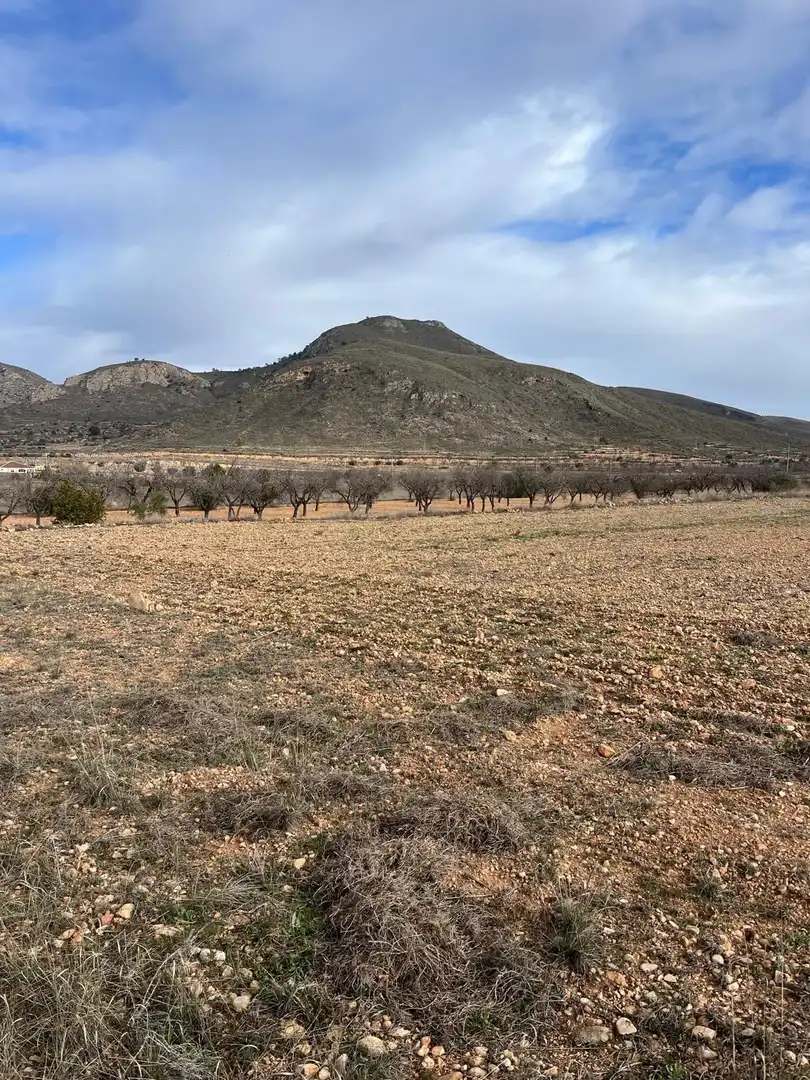 Residencial en venta en Hondón de los Frailes