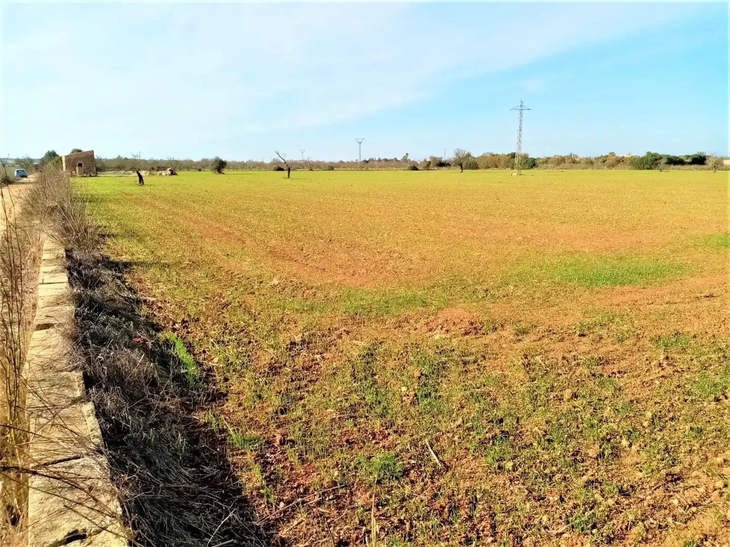 Terreno en venta en Campos