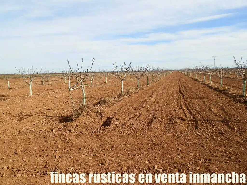 Terreno en venta en Albacete