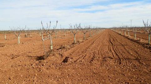 Photo 4 of Land for sale in Centro, Albacete