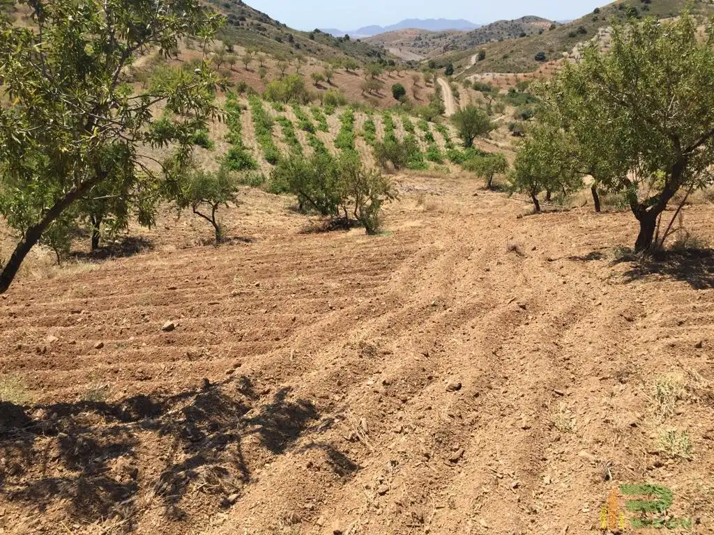 Terreni e lotti in vendita a Sierra de La Torrecilla, imagen 8