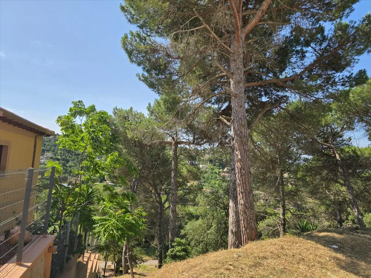 Rustikales Grundstück zum Verkauf in Avinguda de la Senyera, 4, Lloret de Mar, Spain, imagen 18