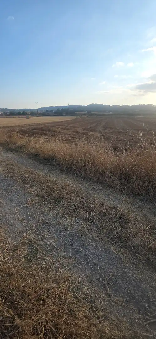 Terrain rustique à vendre à Sant Joan, imagen 4