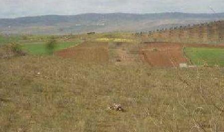 Foto 2 de Finca rústica en venda a Llera, Badajoz