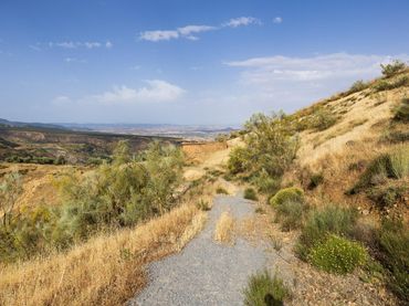 Terreno rustico in vendita a Zona alta