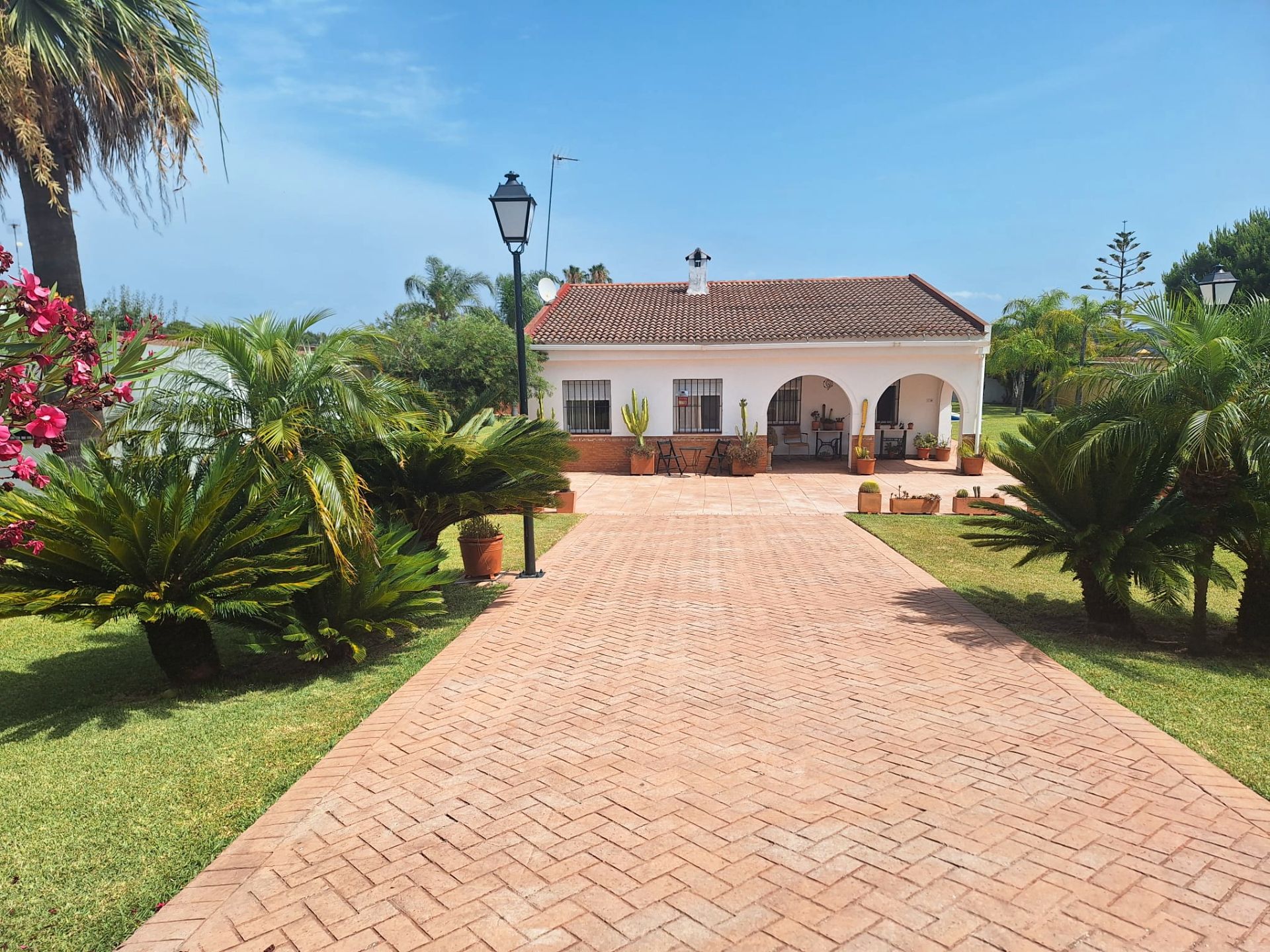 Vista exterior de Casa o xalet en venda en Punta Umbría amb Jardí privat, Terrassa i Traster