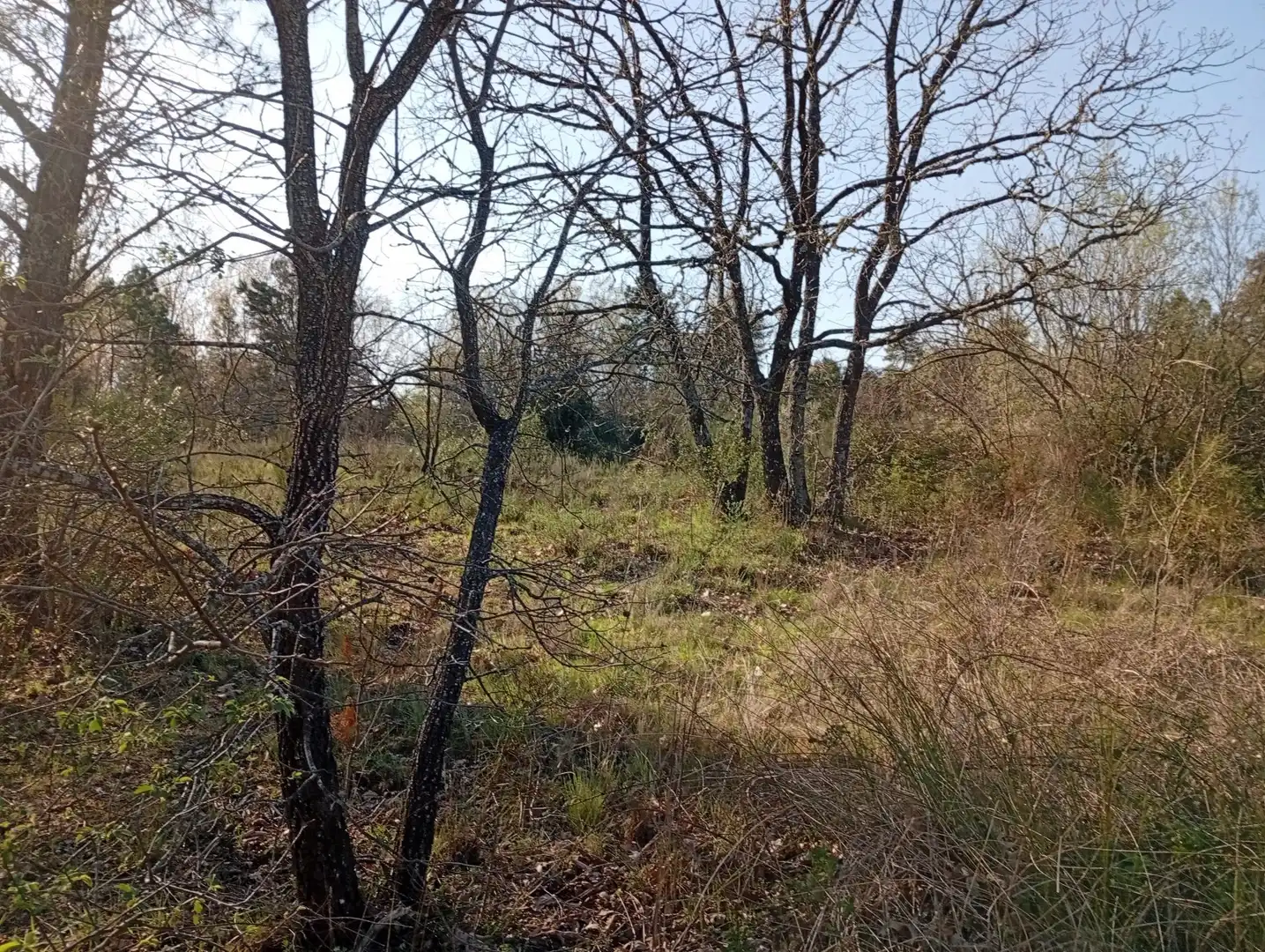 Terreni e lotti in vendita a Villanueva de la Vera, imagen 116