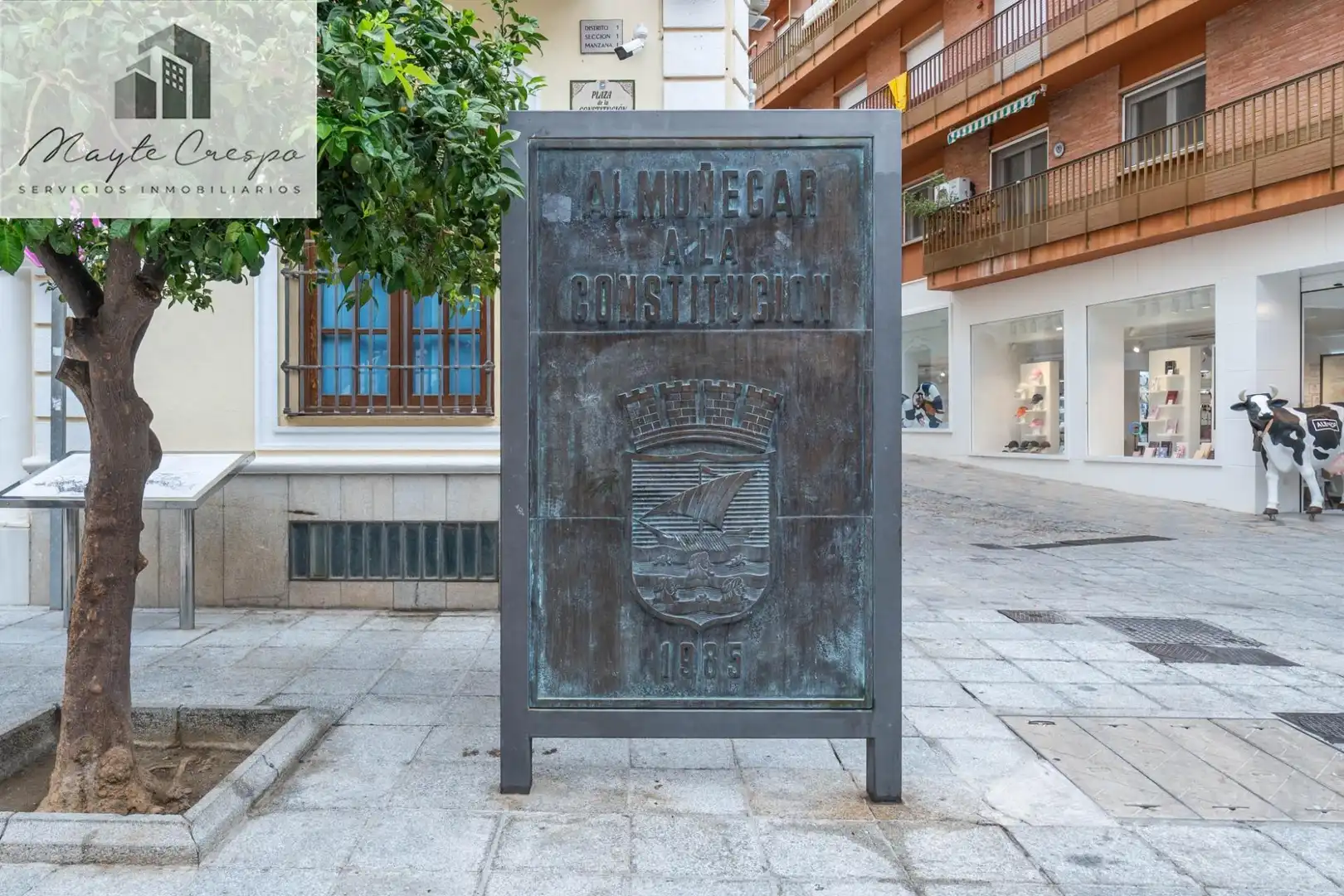Local commercial à vendre à Almuñecar centro, imagen 12